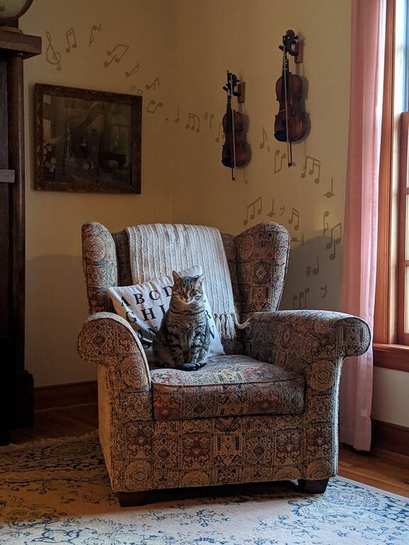 How to Set Up a Cozy Pet-Friendly Home Corner
